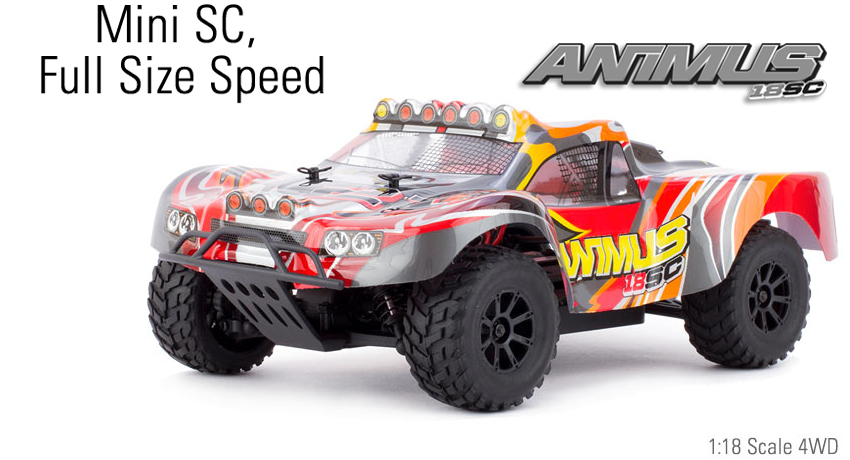 helion rc buggy