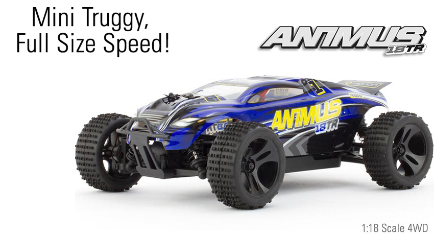 helion rc buggy