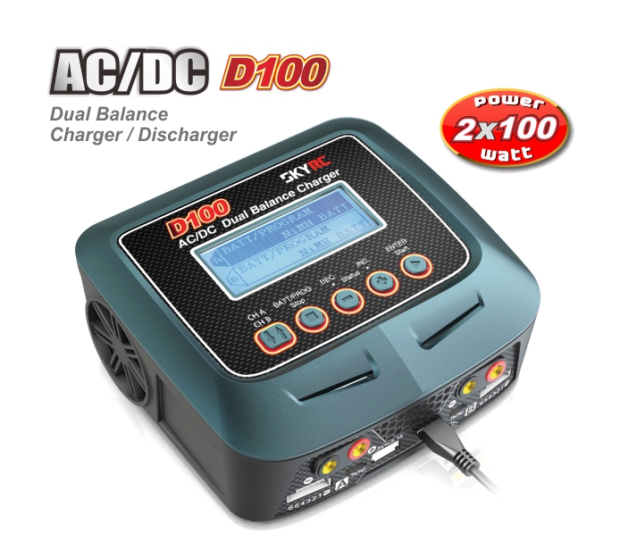 SKYRC D100 Charger